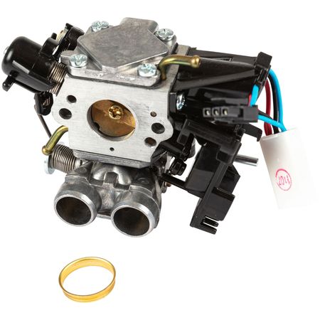 Carburettor Kit 60Cc i gruppen  hos GPLSHOP (5014633-05)