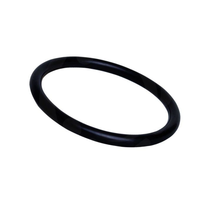 O-Ring i gruppen hos GPLSHOP (5032630-16)