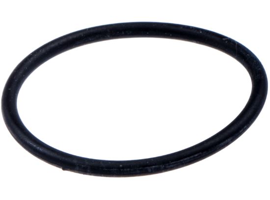 O-Ring 5061103-01 i gruppen  hos GPLSHOP (5061103-01)