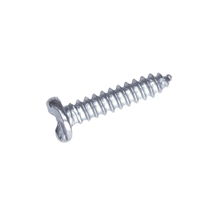 Screw One-Way B4,2X19 i gruppen hos GPLSHOP (5203400-01)