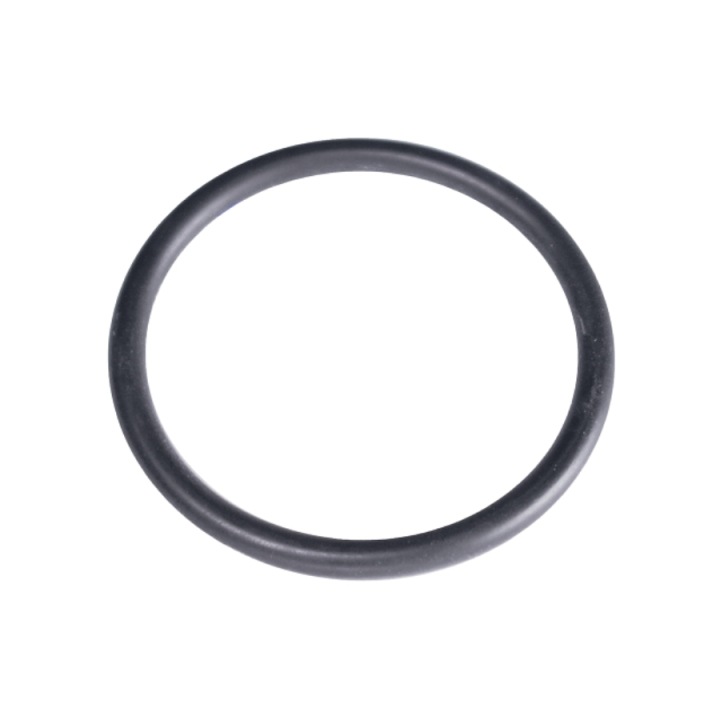 O-Ring 1 i gruppen hos GPLSHOP (5204065-01)