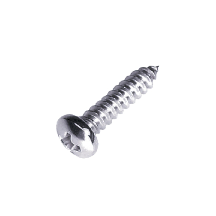 Sheet Metal Screw 4,2X19 i gruppen  hos GPLSHOP (5204322-01)