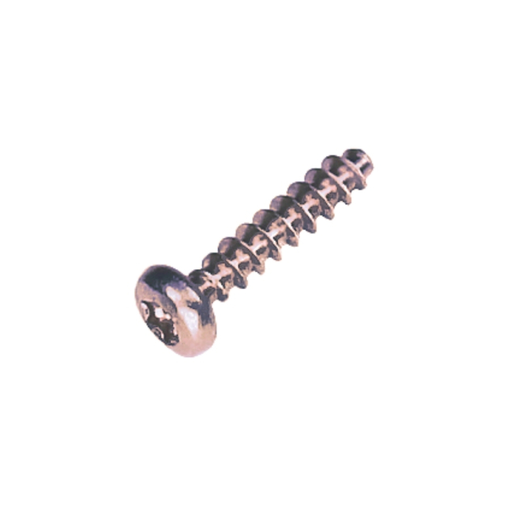 Pt-Screw 40X18 T20 i gruppen hos GPLSHOP (5205223-01)