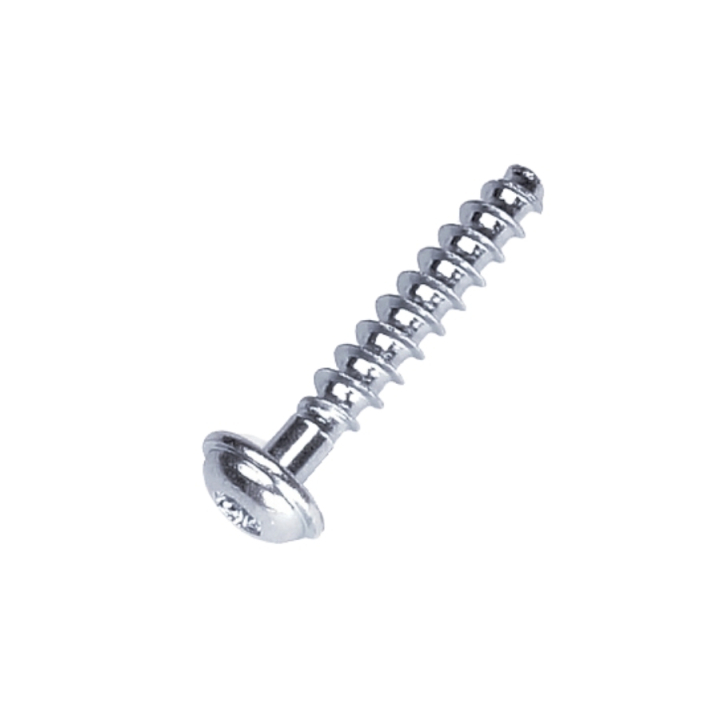 Screw T50X28 i gruppen  hos GPLSHOP (5205247-01)