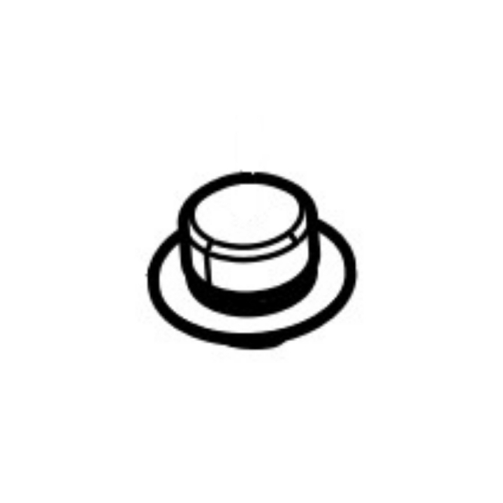 Oil Plug i gruppen  hos GPLSHOP (5224712-01)