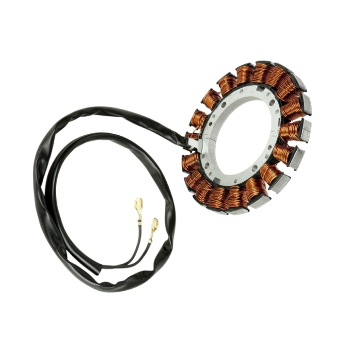 Stator i gruppen Reservdelar Kohler SV710-0022 hos GPLSHOP (5310295-82)
