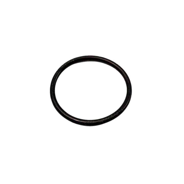 O-Ring i gruppen hos GPLSHOP (5310296-58)