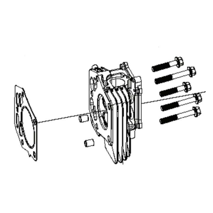 Cylinder Head Kit i gruppen  hos GPLSHOP (5311469-92)