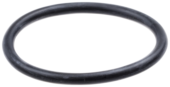 O-Ring i gruppen Produktkyrkogård hos GPLSHOP (5371250-01)