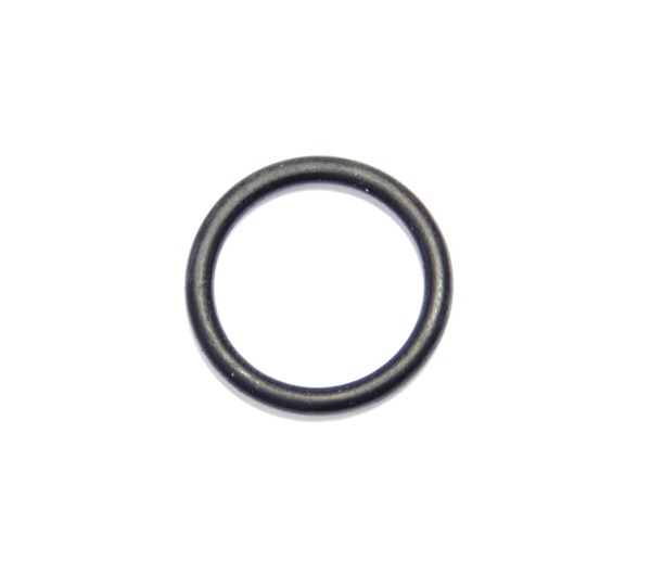 O-RING i gruppen  hos GPLSHOP (5440465-06)