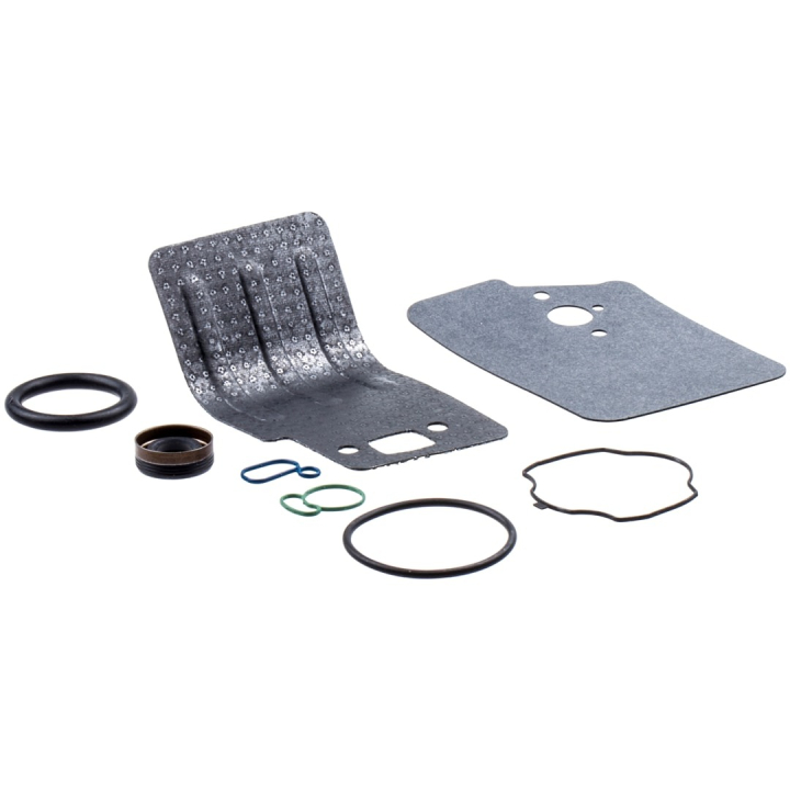 Kit Gasket 25Cc i gruppen hos GPLSHOP (5450818-32)