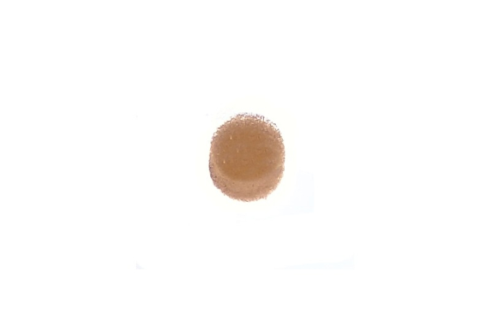 Tank Air Filter i gruppen  hos GPLSHOP (5758355-01)