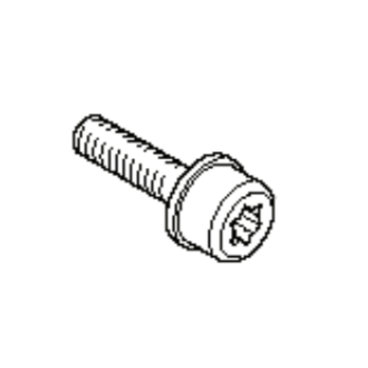 Screw M4-0,7X16Mm 4Stroke Pp i gruppen  hos GPLSHOP (5759626-01)