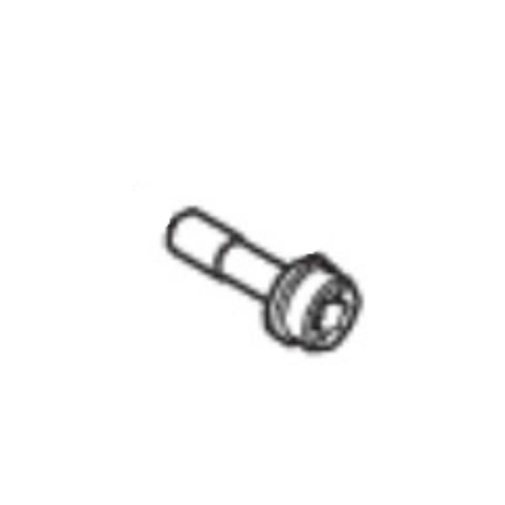 BOLT INTERNAL TORX SOCKET HEAD i gruppen hos GPLSHOP (5778154-03)