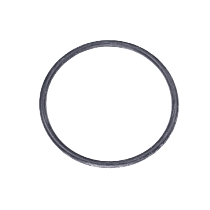O-RING i gruppen Produktkyrkogård hos GPLSHOP (5787610-01)
