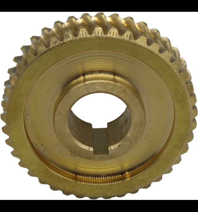 Snäcka i gruppen hos GPLSHOP (5803641-01)