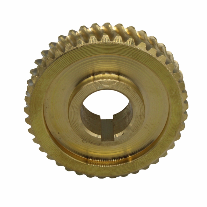 Snäcka i gruppen hos GPLSHOP (5803641-01)