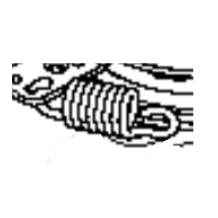 Fjäder i gruppen hos GPLSHOP (5826737-01)