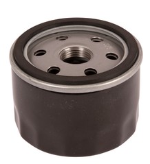 Oil Filter B&S 696854 i gruppen Produktkyrkogård hos GPLSHOP (5857304-01)