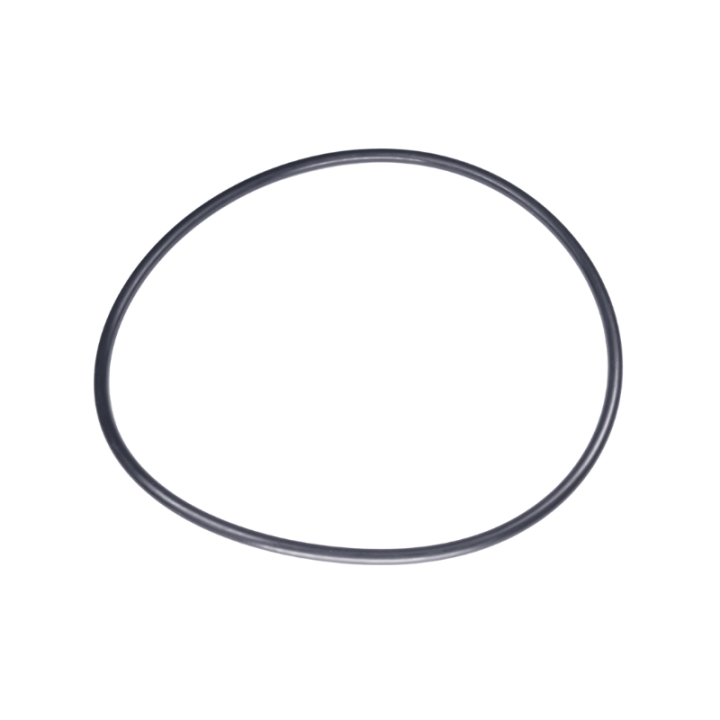 O-Ring 160X5,5 i gruppen  hos GPLSHOP (5885243-01)