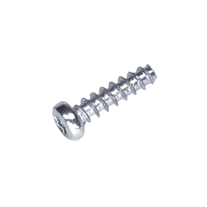 Screw St 4X16 i gruppen hos GPLSHOP (5886914-01)