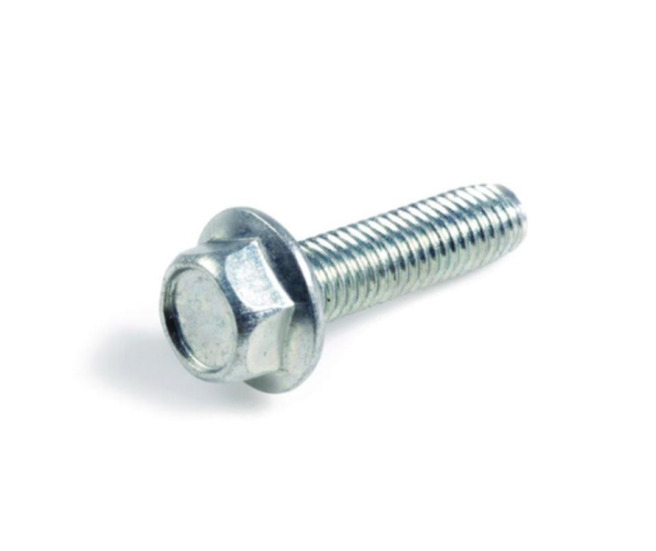 Bult i gruppen hos GPLSHOP (5900191-01)