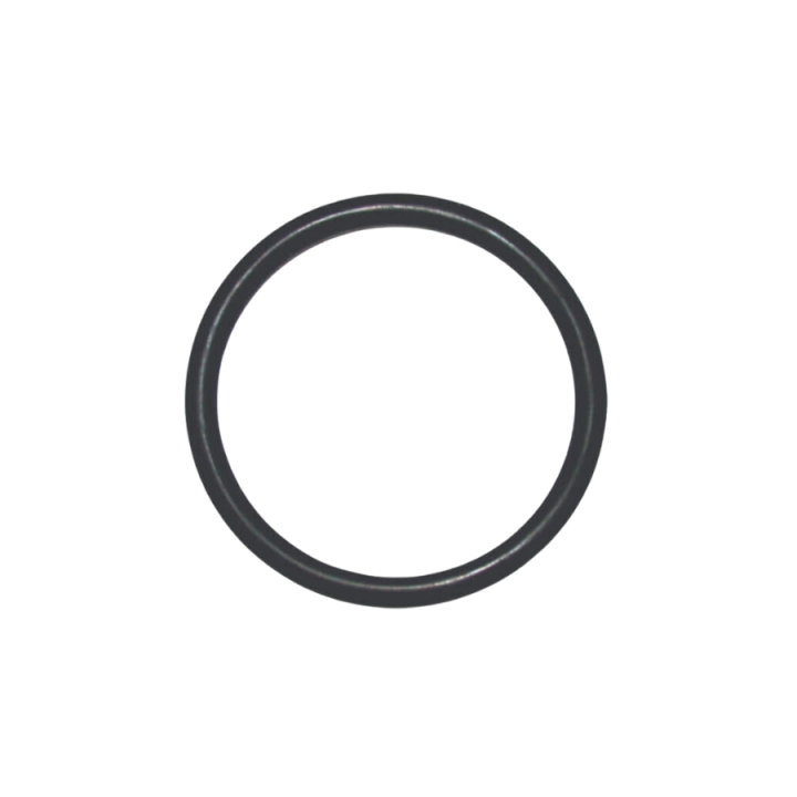 O-Ring 10,2X2,5 Nbr 70 i gruppen hos GPLSHOP (5926176-68)