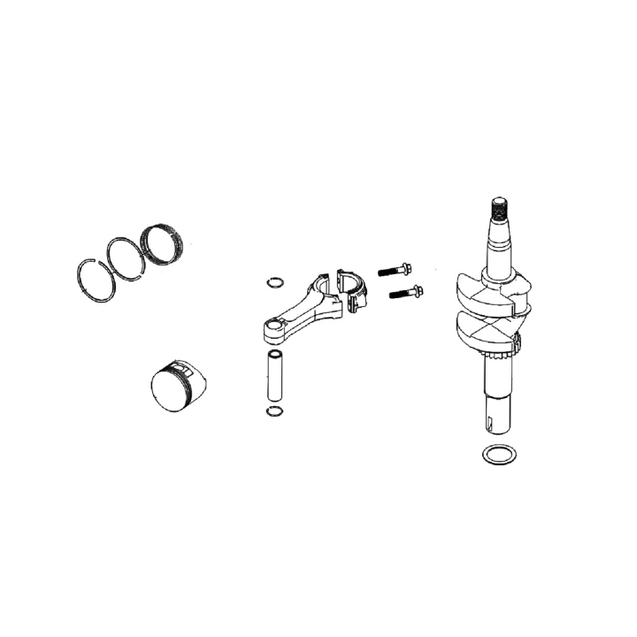Piston Assy Rv175 Piston And R i gruppen hos GPLSHOP (5930562-01)