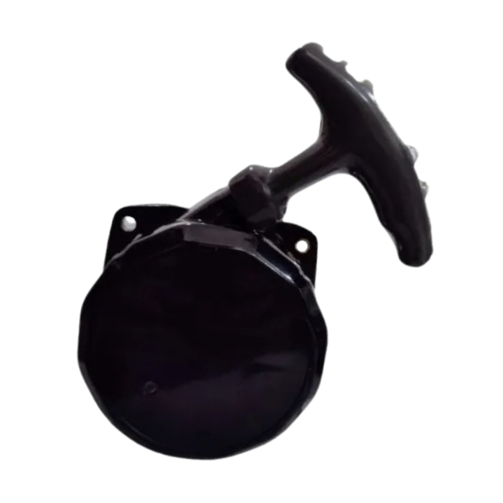 Starter Assy 31R&33R i gruppen  hos GPLSHOP (5936600-01)