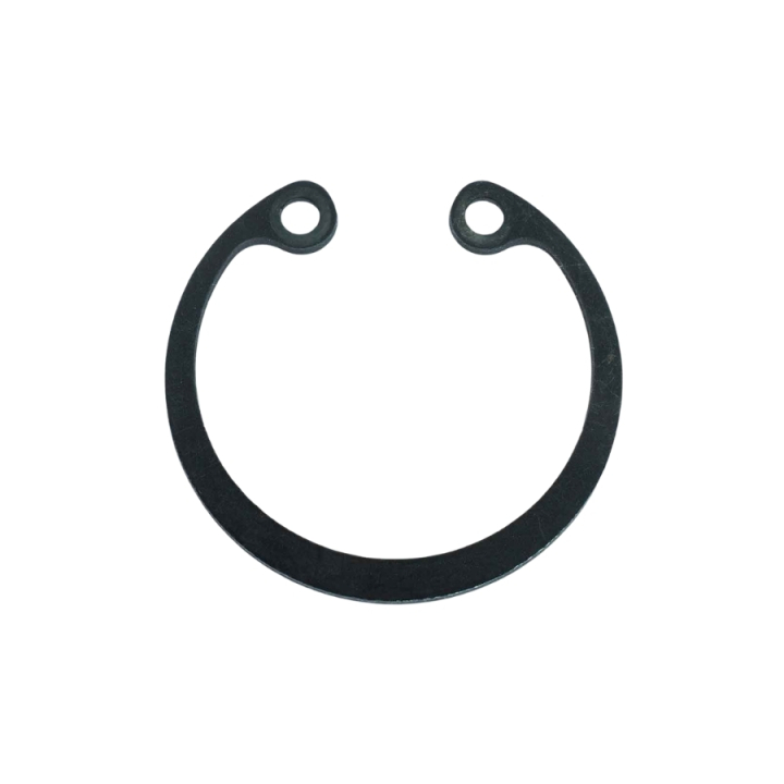 Locking Ring Sgh 55 i gruppen  hos GPLSHOP (5985650-01)