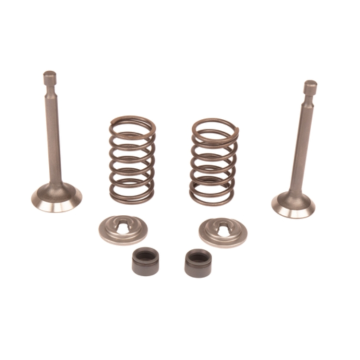 VALVE KIT i gruppen  hos GPLSHOP (5993490-42)