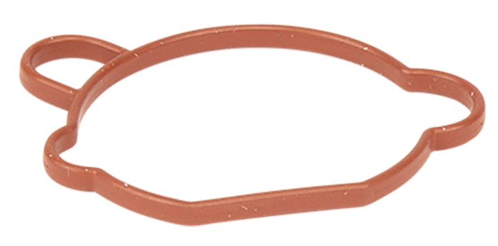 Gasket Carburettor i gruppen  hos GPLSHOP (5993490-78)