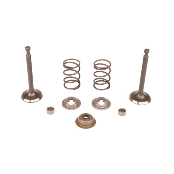 VALVE KIT i gruppen hos GPLSHOP (5993492-45)