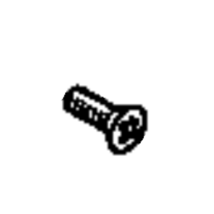 Screw i gruppen  hos GPLSHOP (7243291-01)