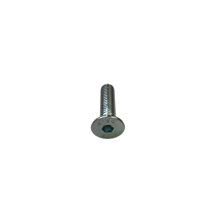 Skruv Mf6S 8X30 i gruppen  hos GPLSHOP (7256455-01)
