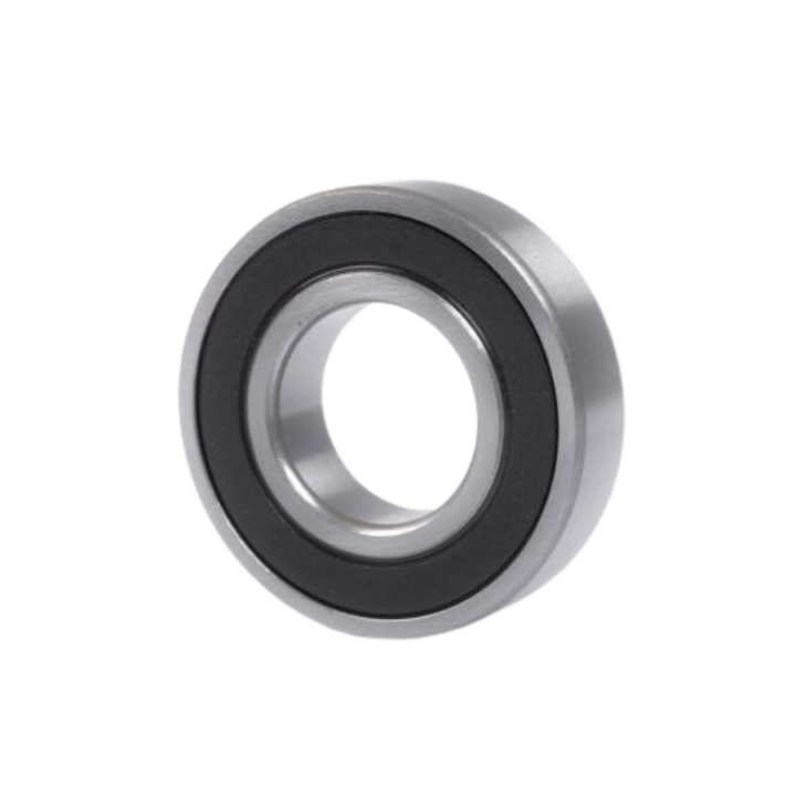 Lager 6009-2Rs1 i gruppen  hos GPLSHOP (7382109-04)