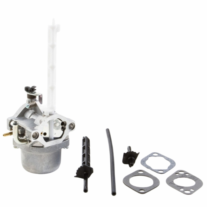 Förgasare i gruppen  hos GPLSHOP (796122)