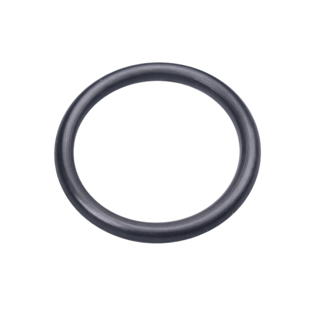 O-Ring 16,9X2,7