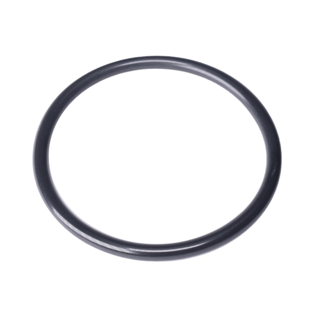 O-Ring 32X2,50