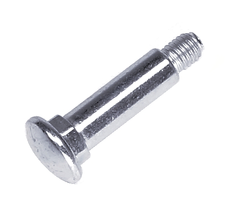 Bearing Screw