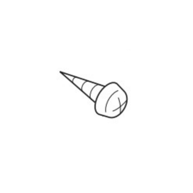Screw