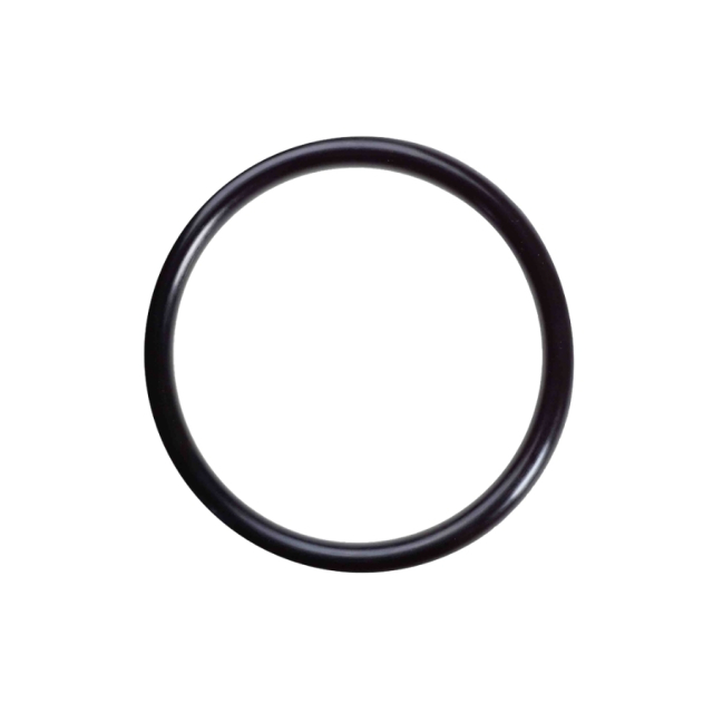 Ring O-Ring