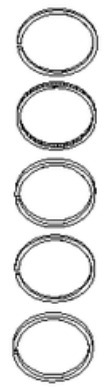 Ring Sats
