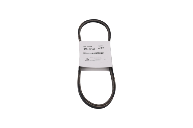 Belt-Trans
