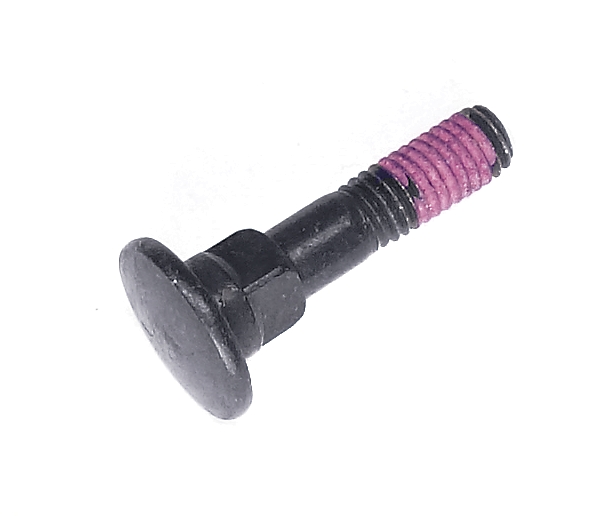 Screw