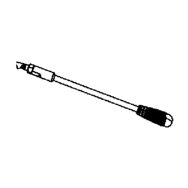 Arm