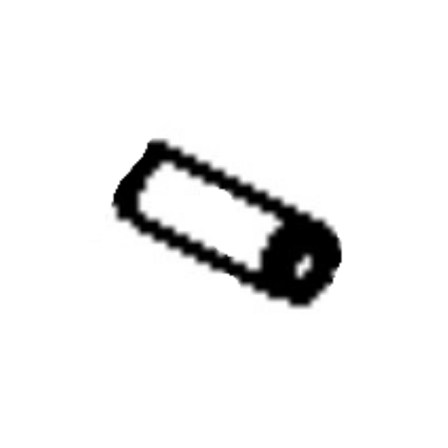 Arm