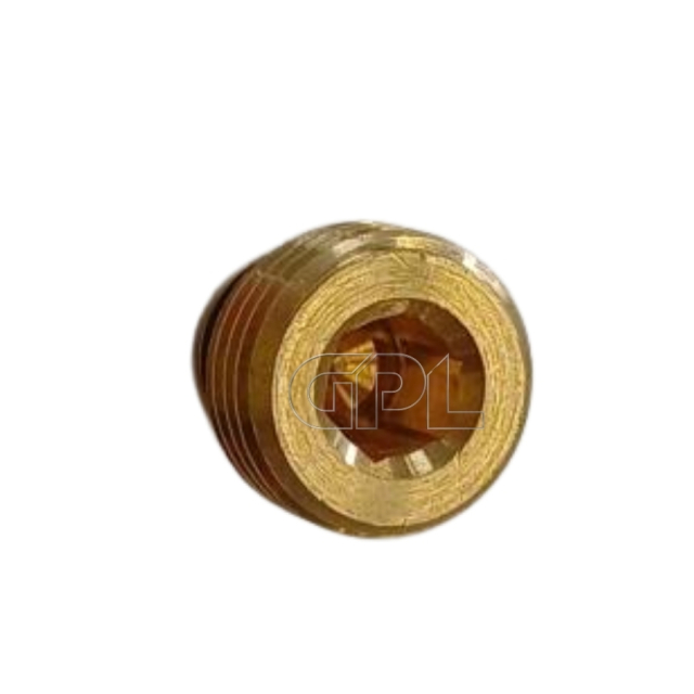 Plug With O-Ring