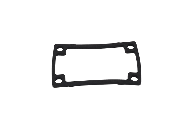 Gasket motor flange
