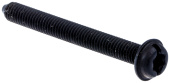 Screw Screw